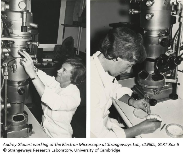 Audrey Glauert working at the Electron Microscope at Strangeways Lab, c1960s GLRT Box 6