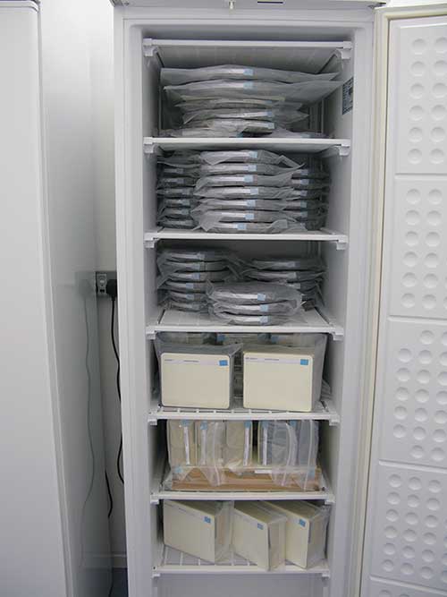 A tall freezer full of film canisters and boxes, all of which are sealed in individual plastic bags.