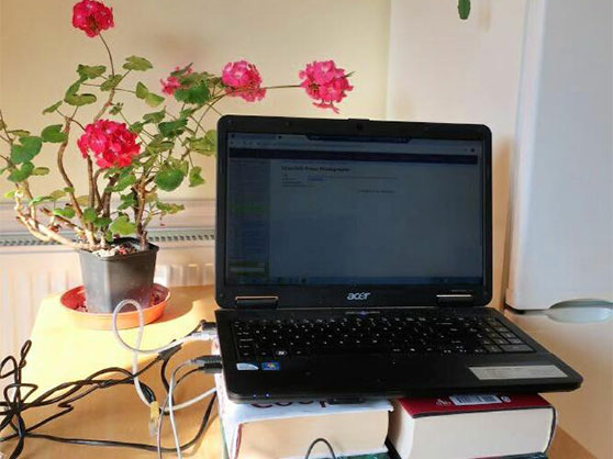 A laptop on top of a stack of books which are forming a makeshift monitor stand. In the background there is a fridge and a house plant with bright pink flowers.