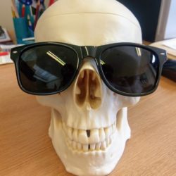 A plastic skull wearing a pair of sunglasses