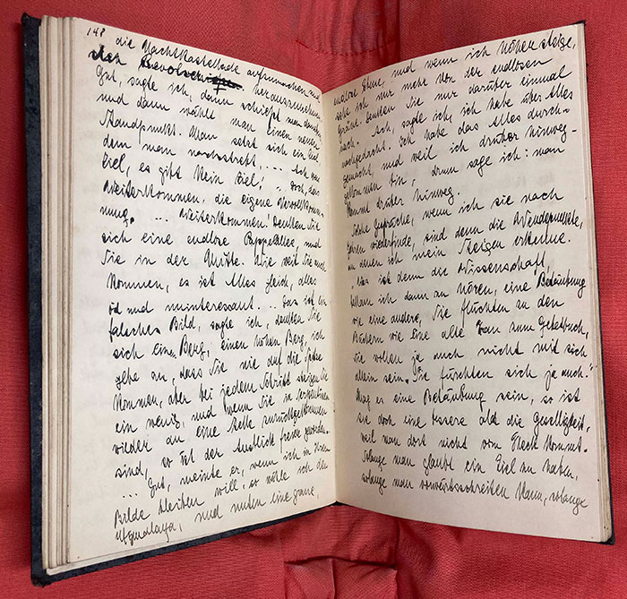Inside of Rabel's 1905-6 diary