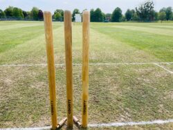 View through cricket stumps before a cricket match