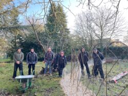 Grounds and Gardens team building a living willow hedge
