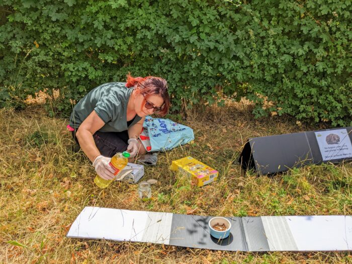 A College gardener prepares a hedgehog survey tunnel. The prism-shaped tunnel is made of black corrugated plastic and has an insert with a bowl of food in the centre. Either side of the food are sheets of white paper, with strips of masking tape either side painted with an animal-safe ink made from organic charcoal and vegetable oil,.