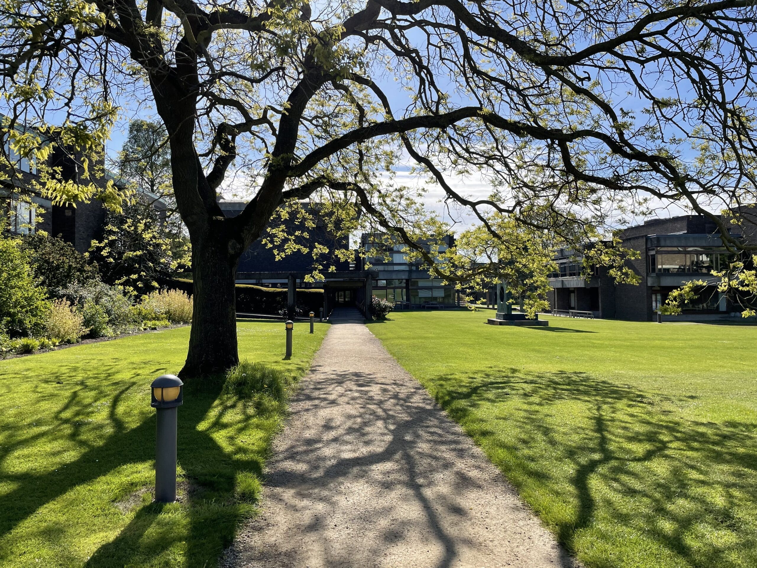 Churchill college grounds featuring a tree in silhouette and its shadow