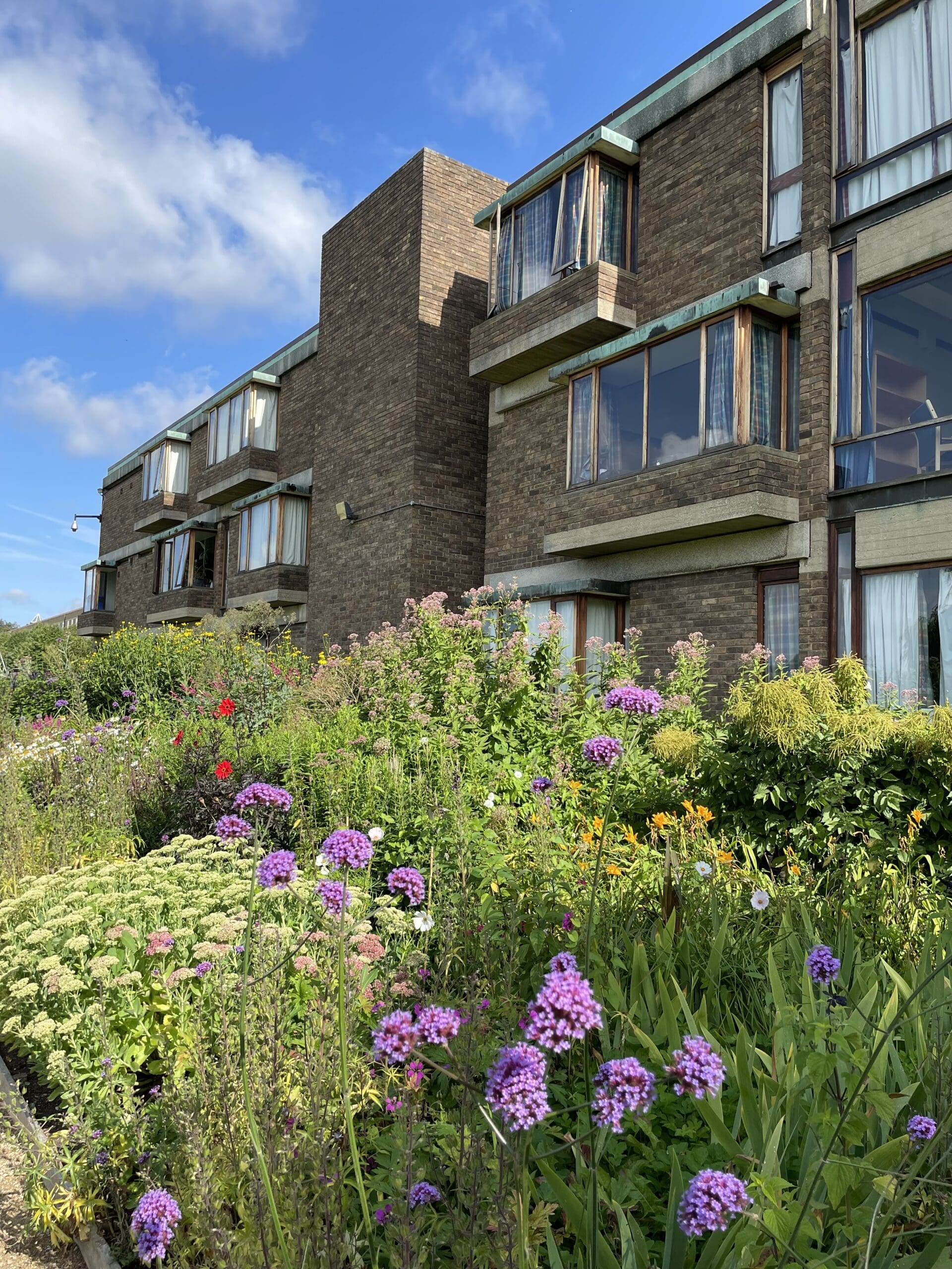 Photos of exterior of Courtyard accommodation with large floral herbaceous border in front