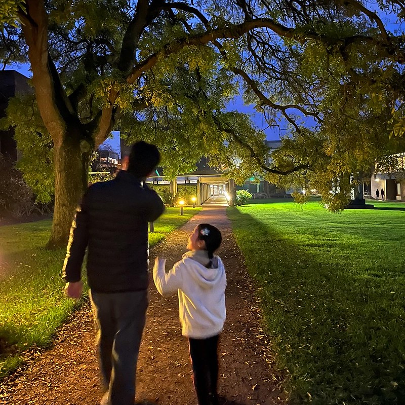 A person in a black jacket walks with a child in a white sweater along a tree-lined path at dusk. They point towards a well-lit building in the distance, with green grass and scattered leaves surrounding them.