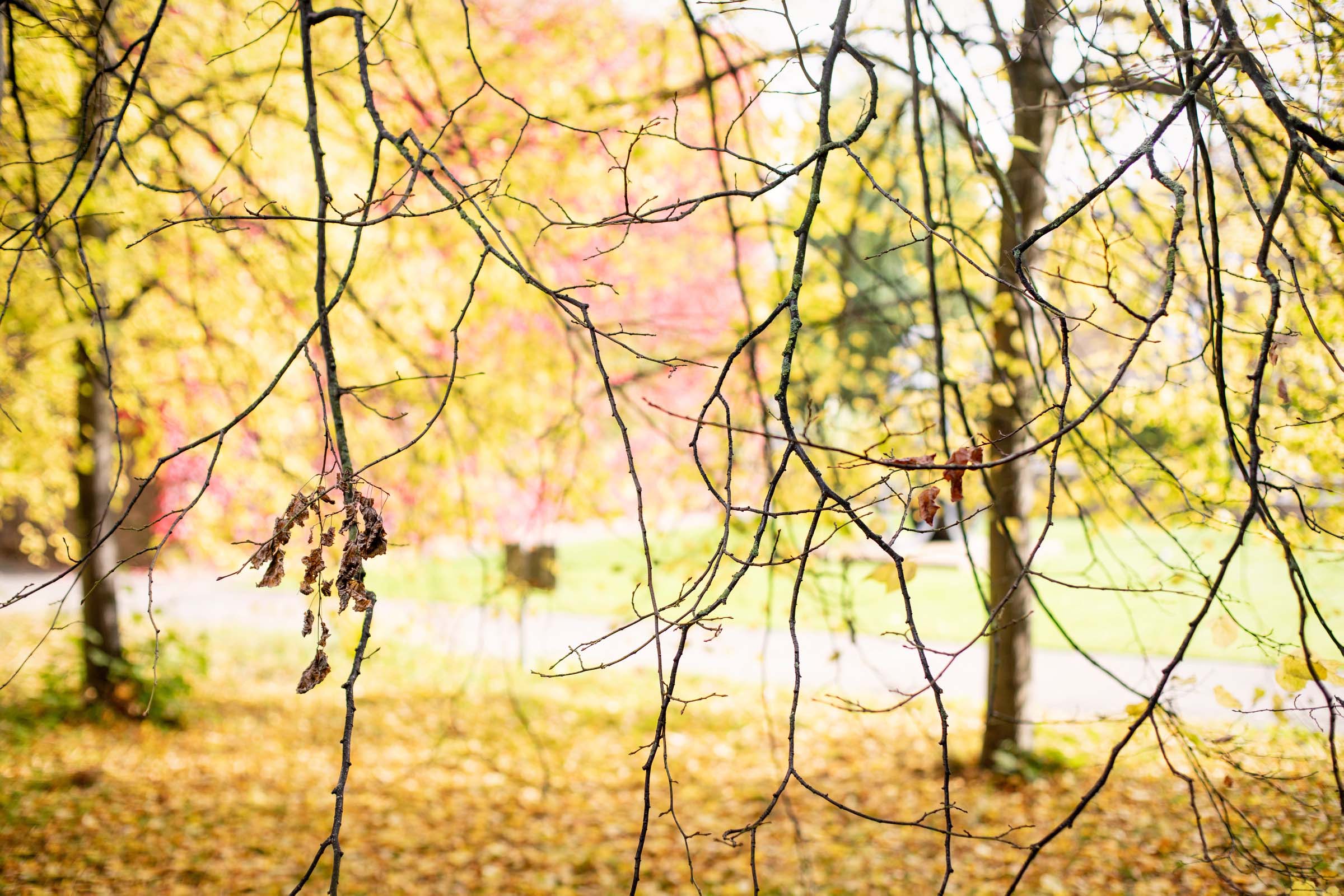 Sustainability Professionals Network