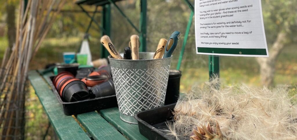 A metal bucket filled with gardening tools is on a green shelf. Nearby are empty plant pots and a fluffy seed pod. A note with text is hanging above, and the background shows a blurred outdoor scene.