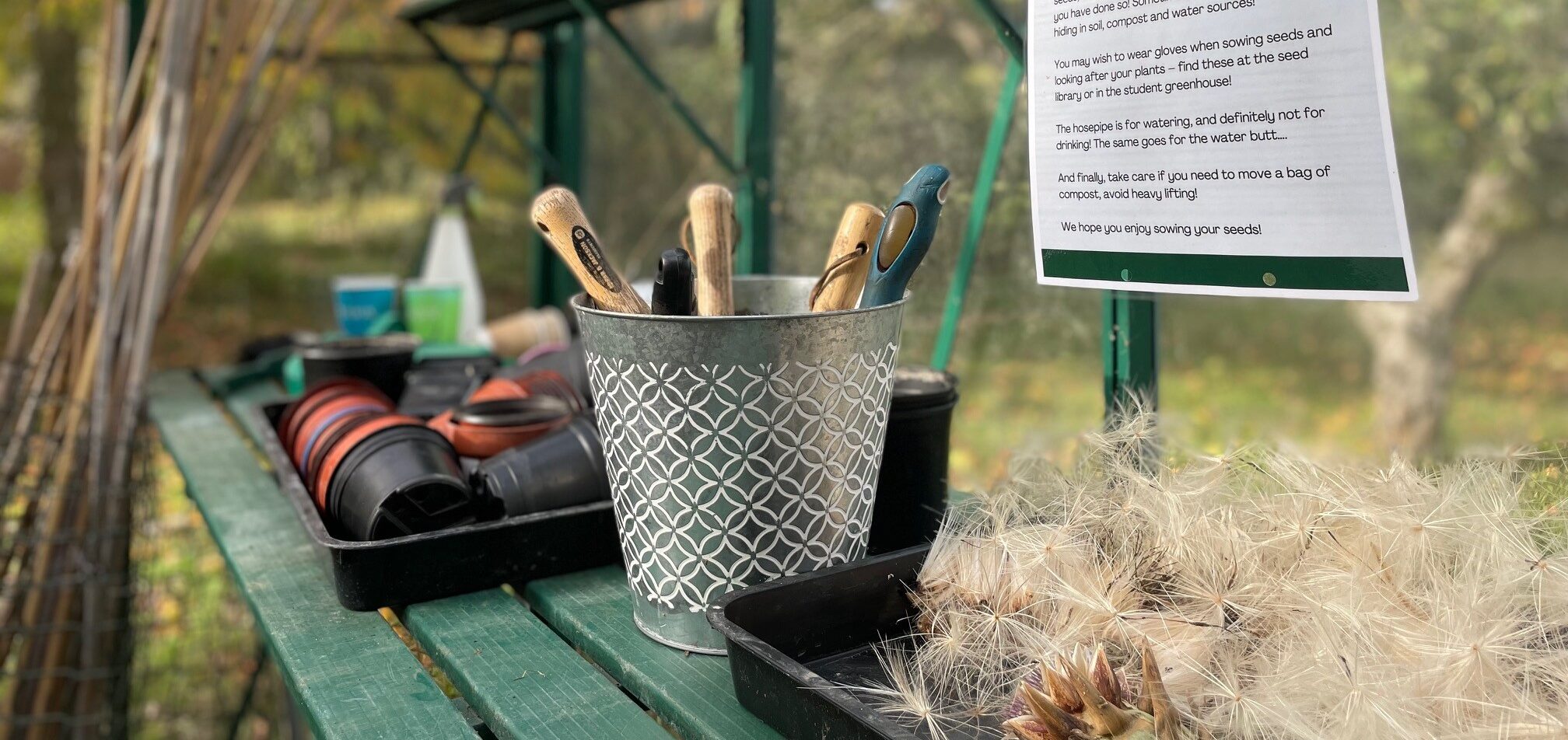 Gardening tools in a patterned metal bucket are on a green shelf with plant pots and a paper notice. Fluffy seed clusters are nearby, and the background is a garden setting with trees.
