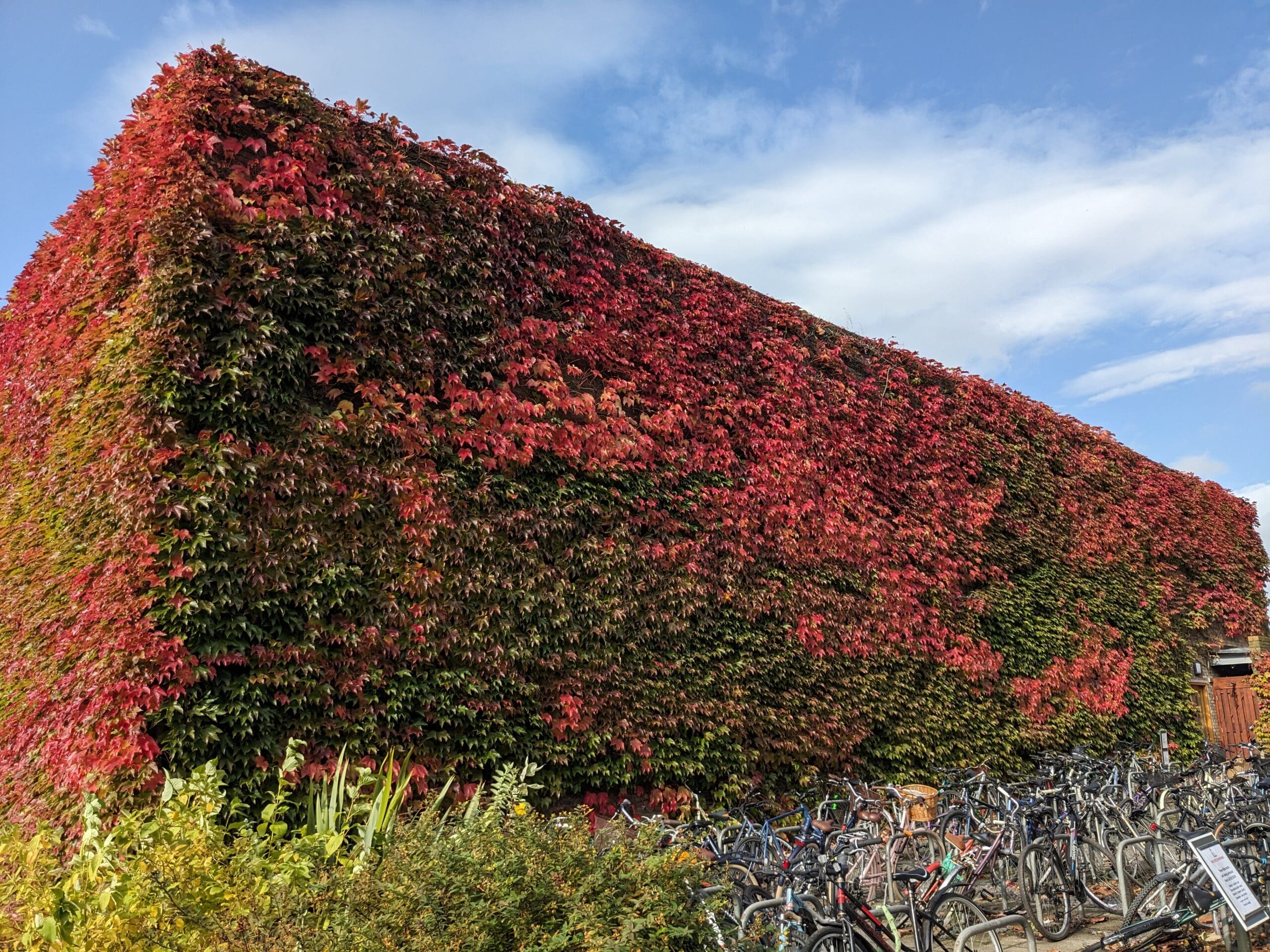 Postgraduate offer-holders: yet to meet conditions