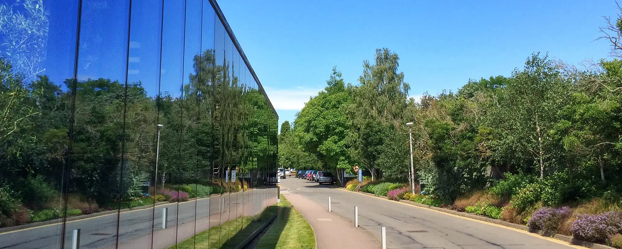 A road lined with trees and greenery stretches alongside a glass building that reflects the natural surroundings. The sky is clear and blue, and a few cars are parked in the distance.