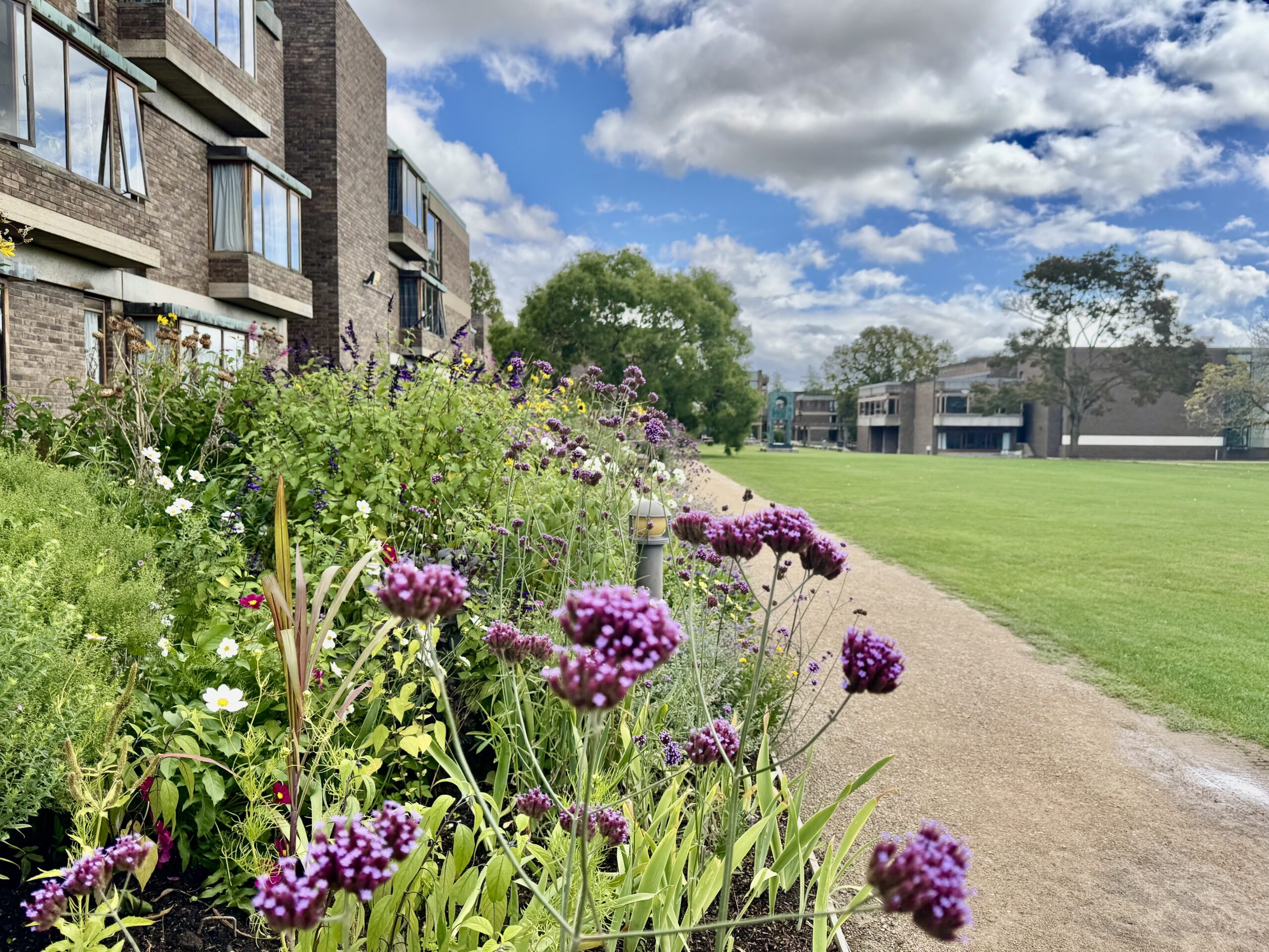Image of the College gardens showing a herbaceous border to the left of the image and College buildings in the background